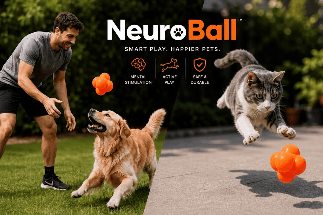 NeuroBall - Nos Amis Les Bêtes, Chien et chats, balle à rebond imprévisible et stimulante.